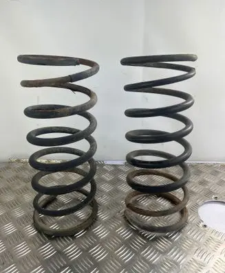 Rear coil spring