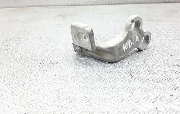 Jaguar X-Type Rear door lower hinge