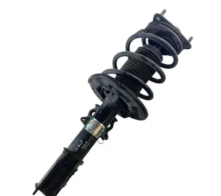 Ford Mustang VI Front shock absorber with coil spring FR3C18045GE FR3C5310BE FR3C3K155BC