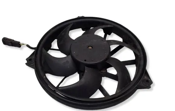 Citroen Jumpy Electric radiator cooling fan 1494742080
