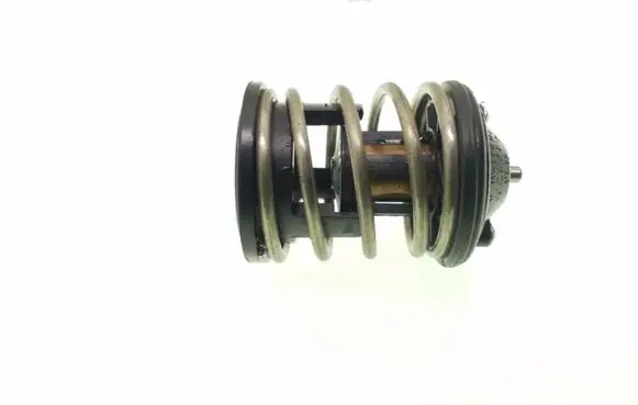 Toyota Avensis T270 Thermostat/thermostat housing