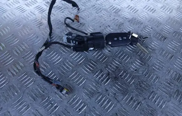 Citroen C3 Aircross Ignition lock 9663123380