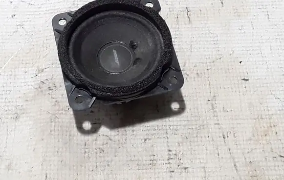 Front door speaker