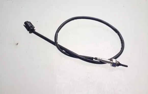 Exhaust gas temperature sensor