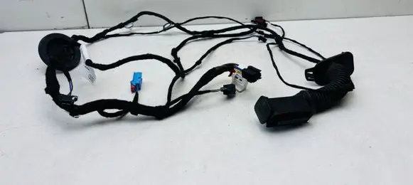 Audi Q8 e-tron Rear door wiring loom 4KE971687F
