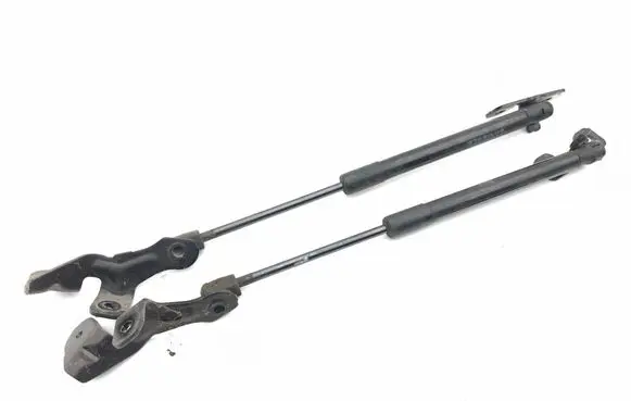 Tesla Model 3 Front bonnet/hood damper/strut 109147200B