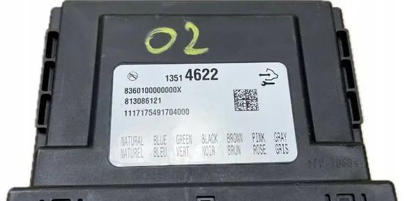 Cadillac Escalade IV Other control units/modules GM13514622