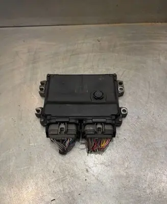 Suzuki Grand Vitara II Engine control unit/module 3392064J0 064J0 1123001213