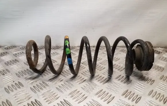 Rear coil spring