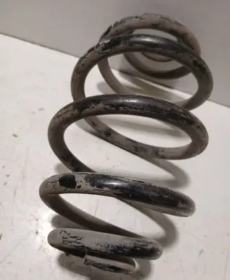 Volkswagen PASSAT B5.5 Rear coil spring
