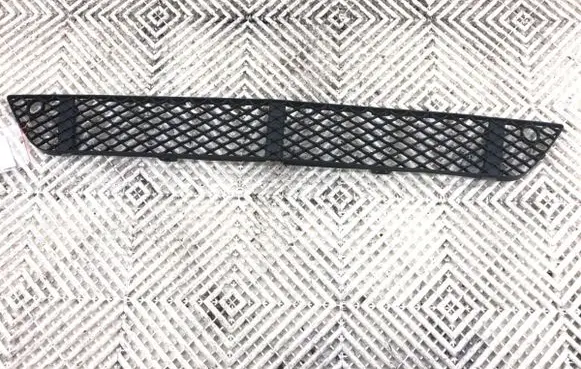 Front bumper lower grill