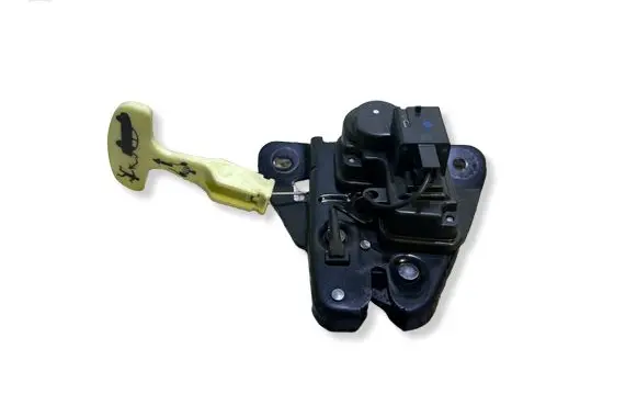 Dodge Charger Loading door lock 