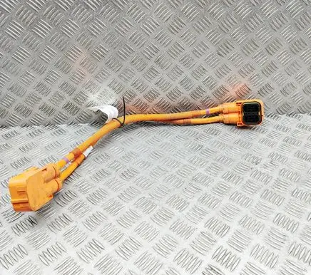 BMW X1 F48 F49 Other wiring loom 6824131
