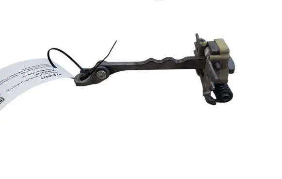 Renault Megane III Front door check strap stopper 10009R