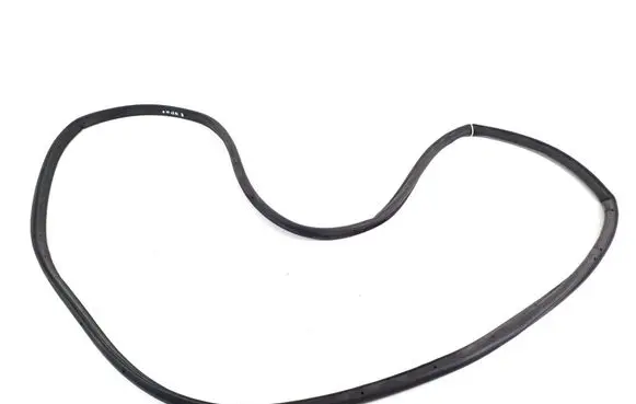 Ford Mach-E I Rubber seal rear door 
