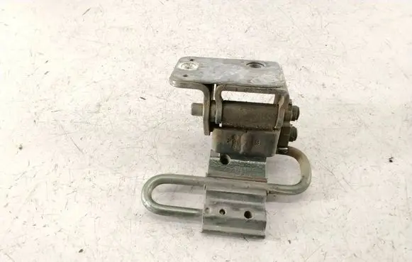 Rear door lower hinge