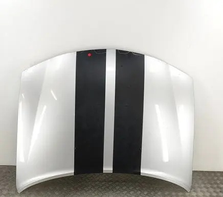 Engine bonnet/hood