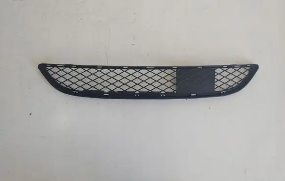 BMW X6 E71 Front bumper lower grill 7231607