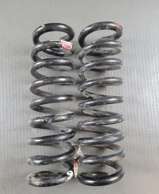 Rear coil spring