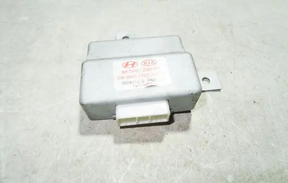 Hyundai Santa Fe Parking PDC control unit/module 957002B000