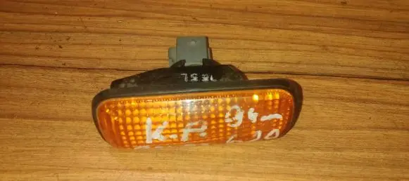 Front fender indicator light