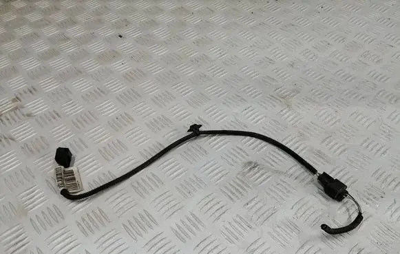 Renault Scenic IV - Grand scenic IV Other wiring loom 214G39170R