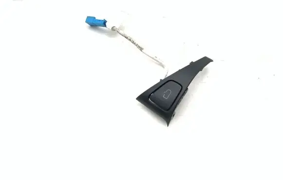 Tesla Model 3 Other devices 109495602G