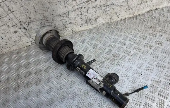 Front shock absorber/damper