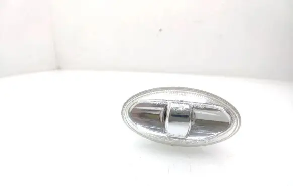 Front fender indicator light