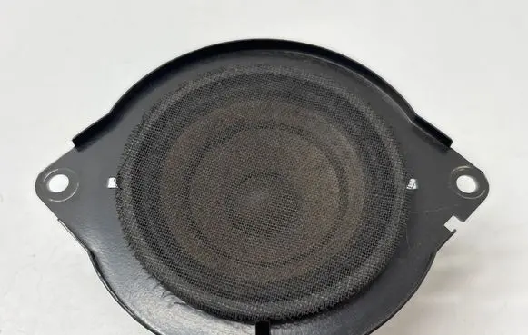 Panel speaker