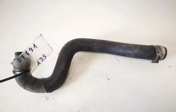 Nissan Primera Engine coolant pipe/hose