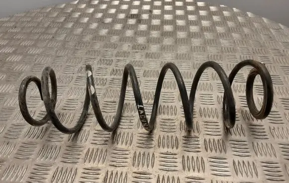 Renault Laguna II Rear coil spring
