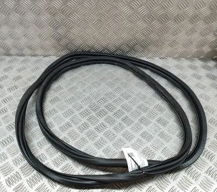 Dacia Sandero Rubber seal rear door 9816902580