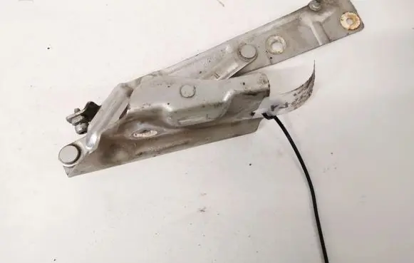 Tailgate/trunk/boot hinge