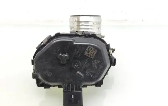 Citroen Berlingo Throttle valve 9830171480 98359L01 V29121487