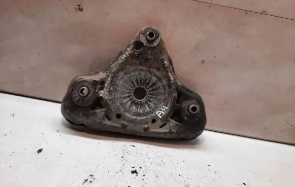 Coil spring mount