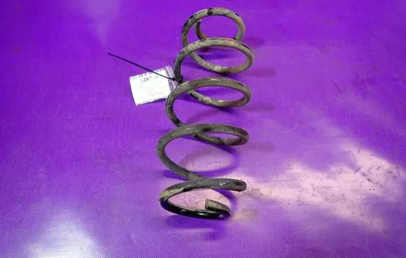 Rear coil spring