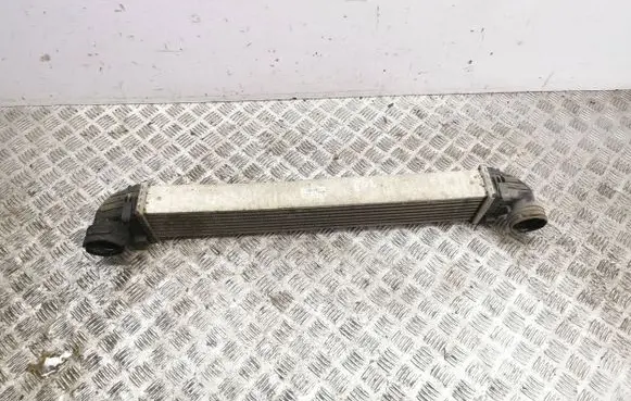 Mercedes-Benz A W169 Intercooler radiator A1695000000