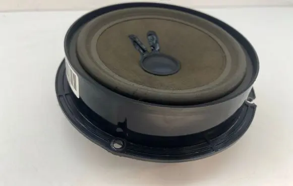 Volkswagen PASSAT B6 Rear door speaker 3C0035453