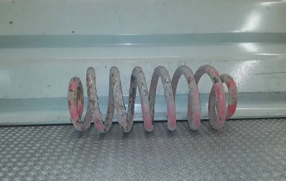 Seat Leon (1P) Rear coil spring 