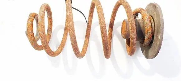 Rear coil spring