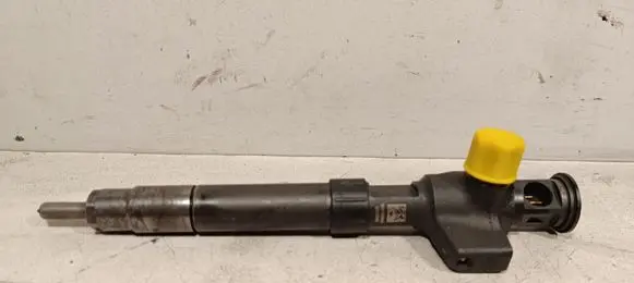 Ford Kuga II Fuel injector 28388960 9674984080