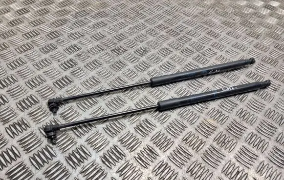 Tailgate/trunk strut/damper