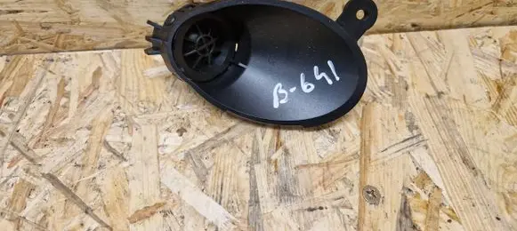 Front door high frequency speaker