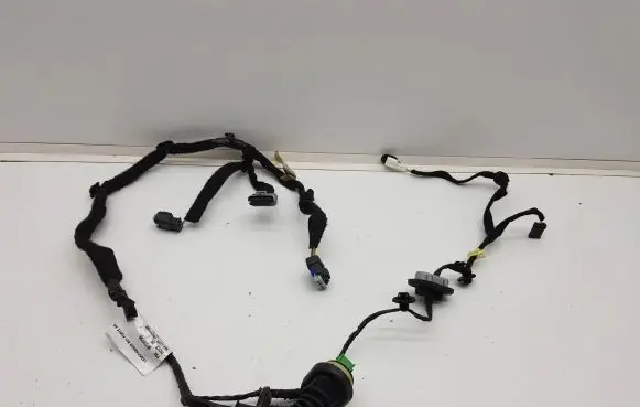 Citroen DS5 Rear door wiring loom 9812907580 55QYR1006