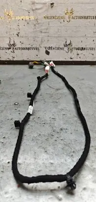 Renault Koleos II Other wiring loom 240601183R 0J2GDJGJ030256 19090905