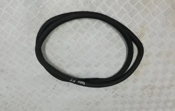 Fiat 500X Rear door rubber seal (on body) 