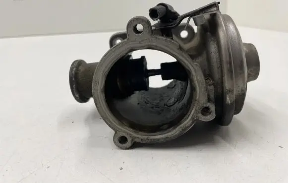 EGR valve