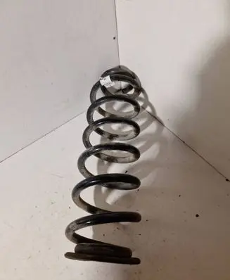 Rear coil spring