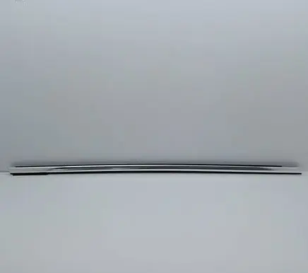 Ford Focus Front door glass trim molding 